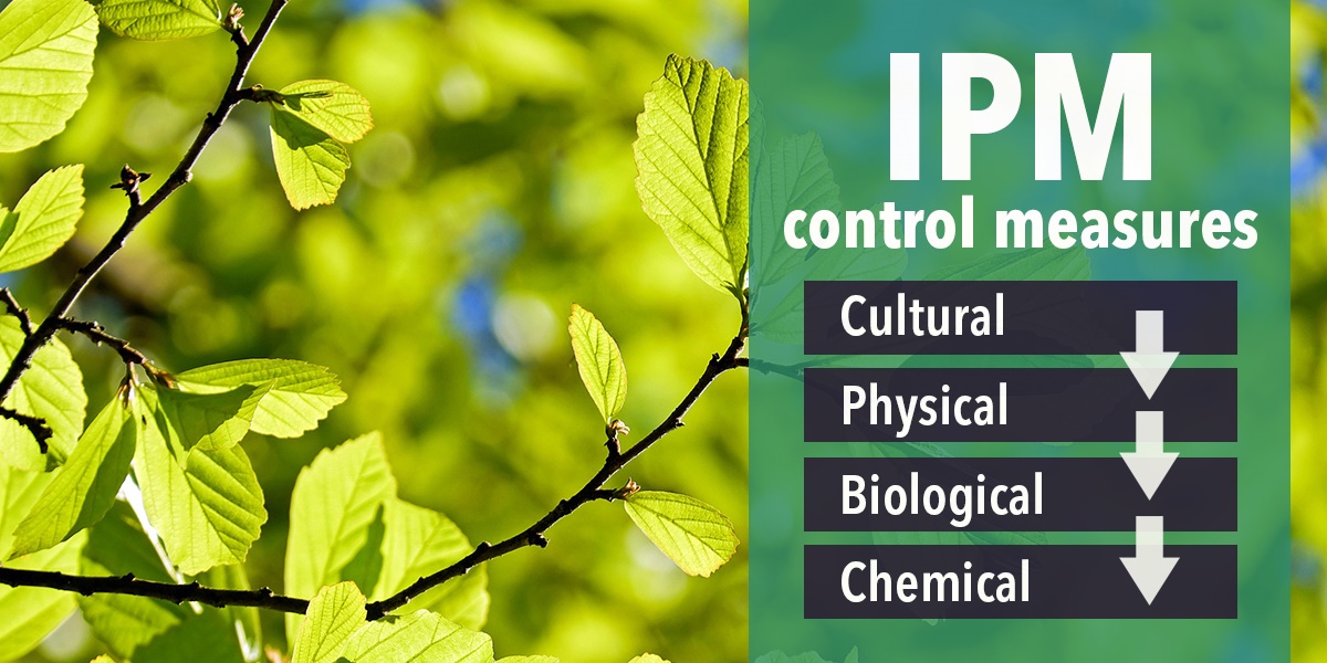 IPM control measure